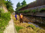Dinas PUPR Kota Kediri Lakukan Normalisasi Pembersihan Sedimen dan Tanaman Liar di Sungai Kresek