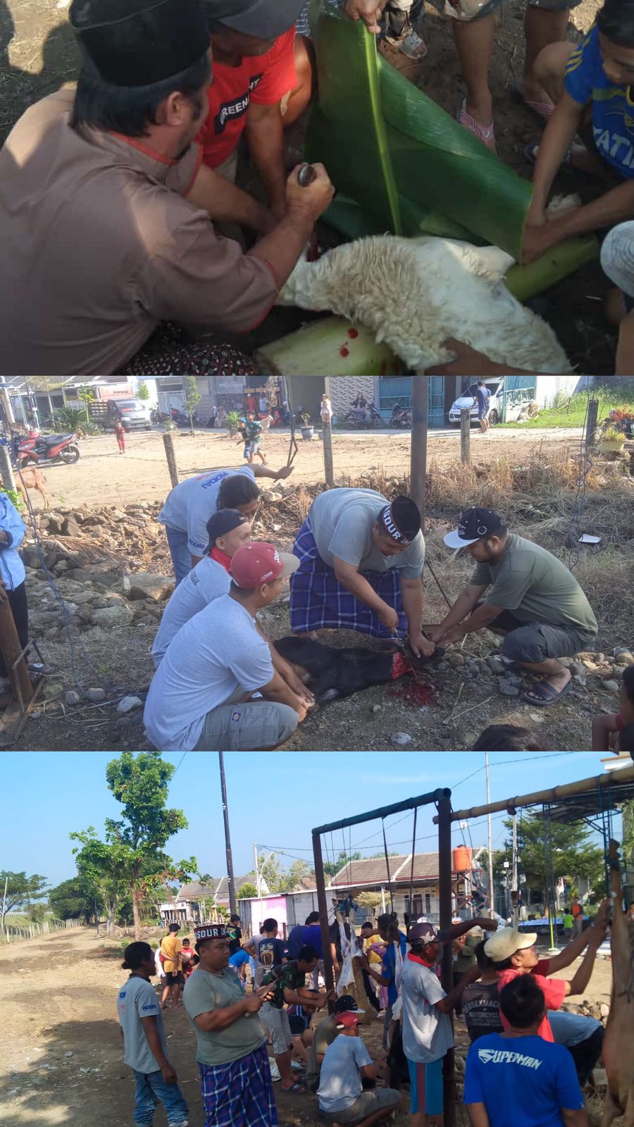 WhatsApp Image 2024 06 17 at 13.21.37 1