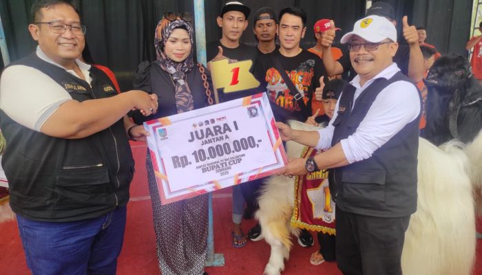 Jombang Adakan Kontes Nasional Kambing PE Kaligesing 2025: Kini Jombang Jadi Pusat Pelestarian dan Inovasi Peternakan                                                                                                                                                                                                                                                                                                                                                                                              Jombang Adakan Kontes Nasional Kambing PE Kaligesing 2025: Kini Jombang Jadi Pusat Pelestarian dan Inovasi Peternakan