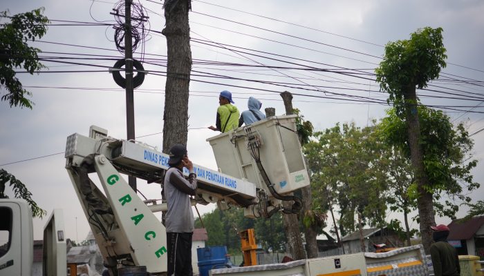 Operasi Empati di Gelar Pemkab Jombang Untuk Merapikan Kebel FO yang Berantakan dan Membahayakan Warga
