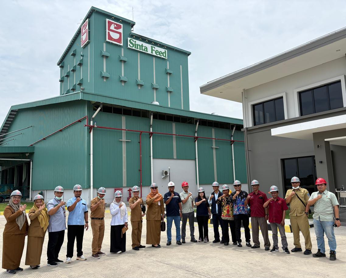 WhatsApp Image 2026 02 10 at 17.22.04