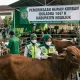 Nganjuk Pastikan Ribuan Hewan Kurban Bebas Penyakit, Tim AMPM Lakukan Monitoring Intensif