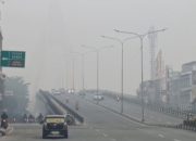 Kualitas Udara Pekanbaru Sangat Tidak Sehat, PM2.5 Capai 215,5 µg/m³ akibat Kabut Asap